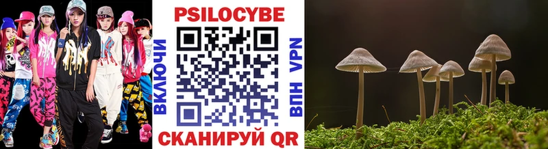 Галлюциногенные грибы Psilocybe  Нижний Ломов 